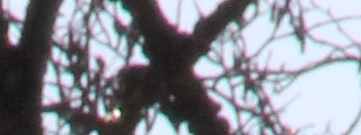 Megatest ultrazoomových objektivů