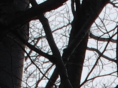 Postačí setový objektiv? Nikon vs. Sigma a Tamron