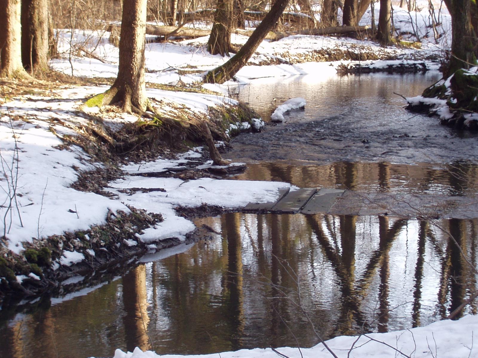 Olympus C-220Z: Fotoaparát s rodokmenem