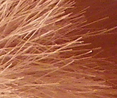 Pentax X70: neobyčejně univerzální kliďas