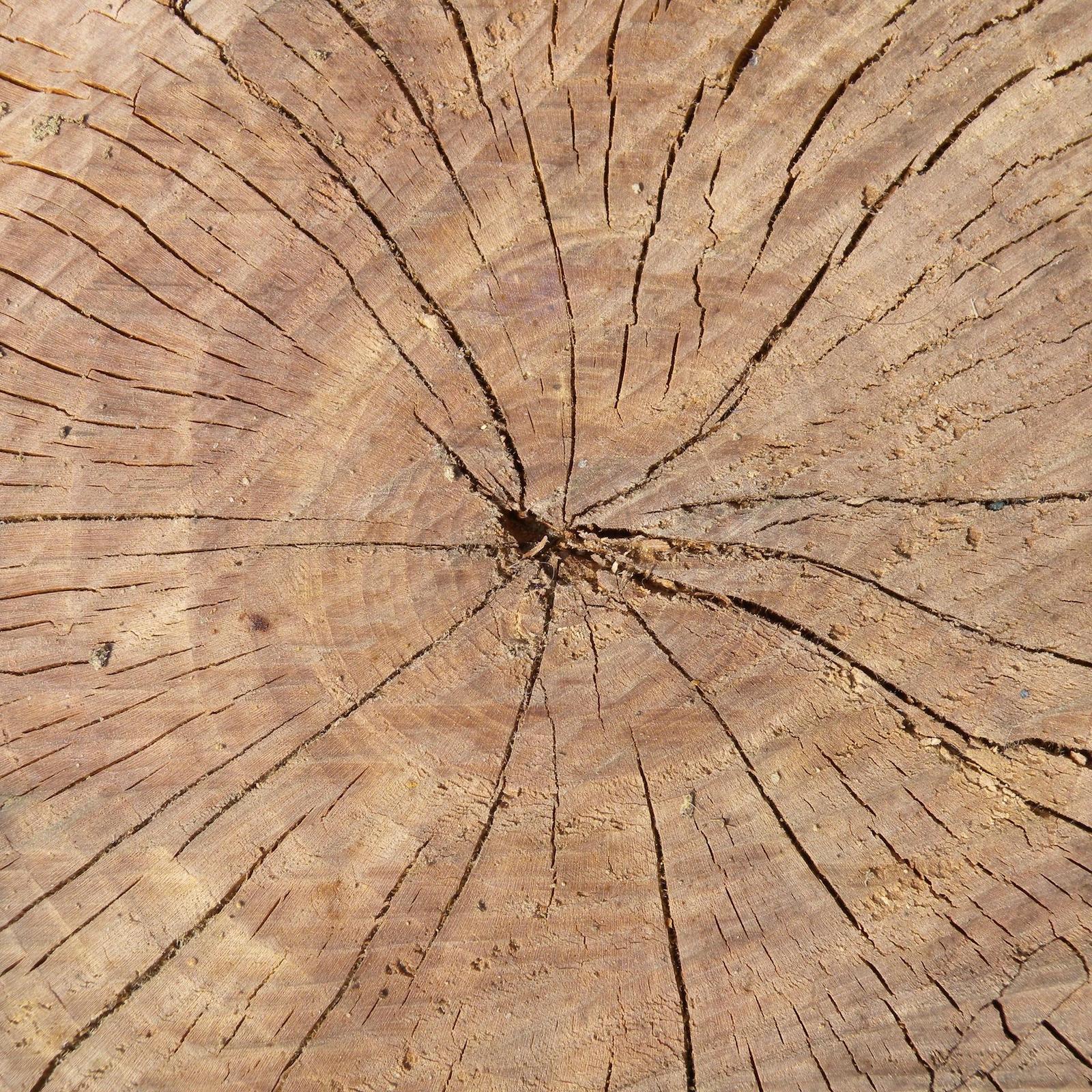 Nikon Coolpix P6000: ostře proti všem