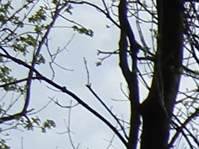 Fujifilm FinePix HS10: ultrazoom roku?