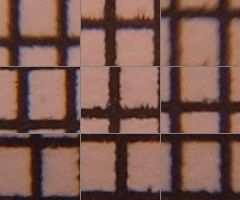 Olympus M.Zuiko Digital 14-150 mm F4-5,6