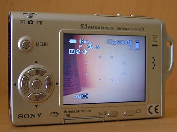 Sony T7: Placatý žravý rychlík