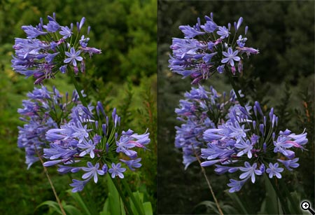 Přehled zajímavostí za 47. týden 2006