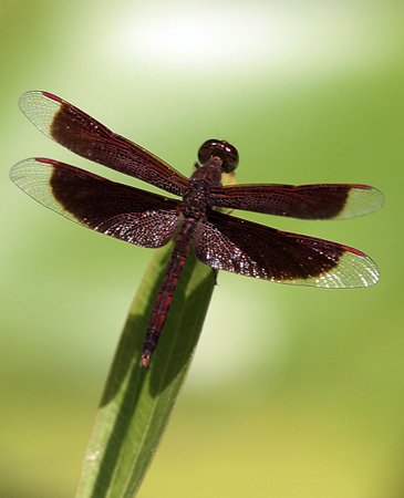 Formáty pro ukládání fotografií - 9.díl: JPEG 2000, PNG a BMP