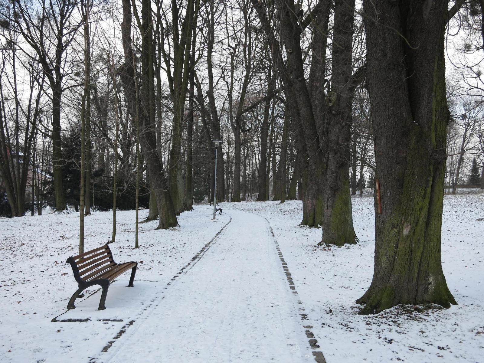 Canon PowerShot S110: solidnost do kapsy