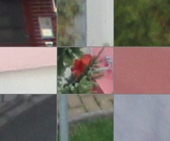 Canon EOS 550D: třídní premiant