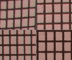 Olympus M.Zuiko Digital 14-150 mm F4-5,6