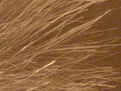 Olympus PEN E-PL2: PEN počtvrté a zase lépe