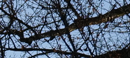 Panasonic Lumix S 20-60mm F3.5-5.6