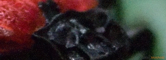 Zoner Photo Studio 16 PRO v testu