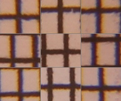 Canon EOS 550D: třídní premiant