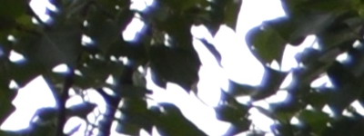 Nikon 18-55mm f/3,5-5,6G AF-S DX VR