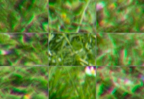 Tamron 16-300mm f/3.5-6.3 Di II VC PZD Macro