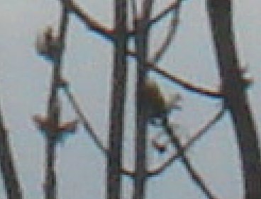 Sony T30: Další verze povedené stabilizované placatky