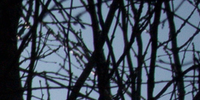 Nikon 1 NIKKOR 30-110mm 1:3,8-5,6 VR