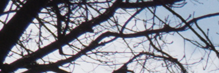 Panasonic Lumix LX100: pozoruhodný profi kompakt