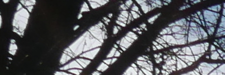 Panasonic Lumix LX100: pozoruhodný profi kompakt