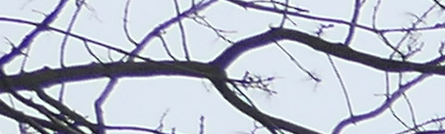 Panasonic Lumix LX15: noční borec