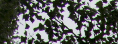 Nikon 18-55mm f/3,5-5,6G AF-S DX VR