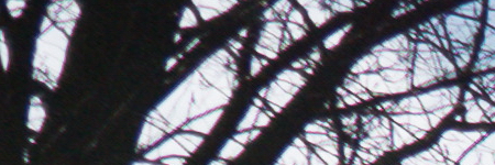 Panasonic Lumix LX100: pozoruhodný profi kompakt