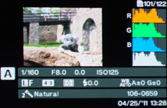 Olympus XZ-1: trefa do černého