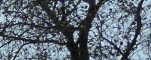 Panasonic Lumix TZ200: kamarád na cesty