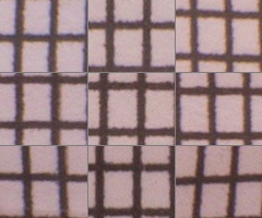 Panasonic Lumix LX7: kompaktní hvězda noci