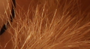 Canon EOS 1200D: vylepšený základ