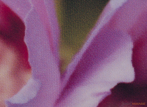 Epson Stylus Photo PX720WD: multifunkční krasavec