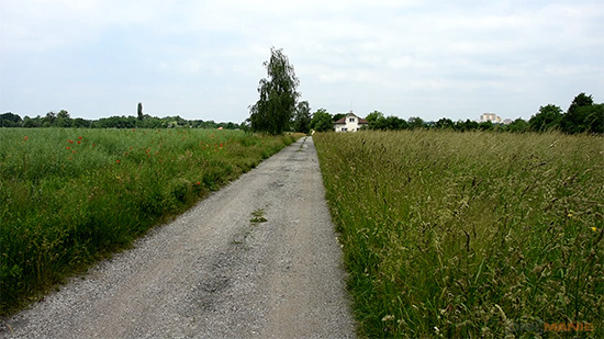 Nikon D7200: přesvědčivé zrcadlo