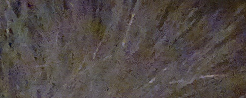 Nokia 808 PureView: mobilní zrcadlovkobijec