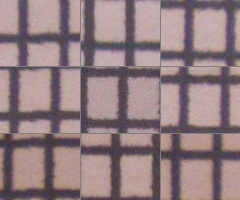 Panasonic Lumix FZ200: ultrazoomové překvapení roku