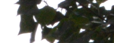 Nikon 18-55mm f/3,5-5,6G AF-S DX VR