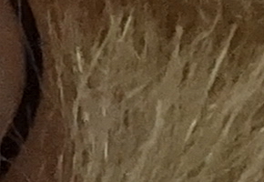 Sony Cyber-shot WX100: maličký silák