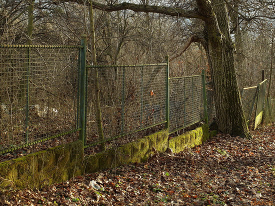 Samsung EX2F: významný krok vpřed