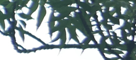 Jupiter-9 85mm F2.0 (M39)