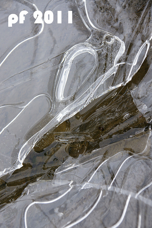 Zrcadlovka a já: Štědrovečerní