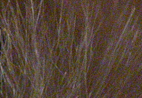 Olympus PEN E-PL5: s výkonnějším srdcem