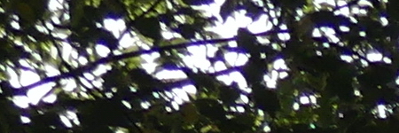 Panasonic Lumix FZ300: opět na špici