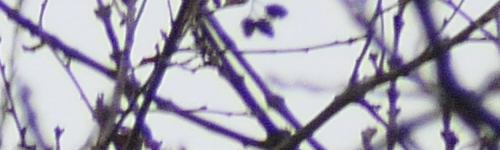 Panasonic Lumix FZ2000: ultrazoom nebo profi kamera?