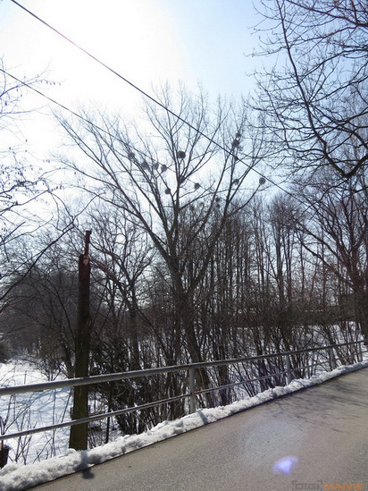 Canon PowerShot SX50 HS: překvapivá kombinace