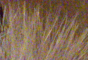 Canon PowerShot G15: lépe už to (asi) nepůjde