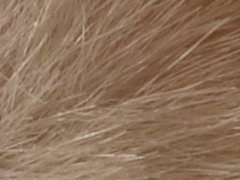 Nikon D3100: základ nabídky DSLR