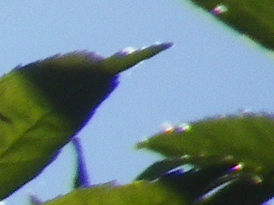 Pentax X70: neobyčejně univerzální kliďas