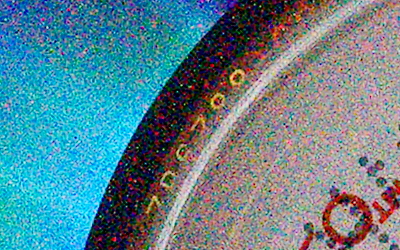 Sony SLT-A33: přesvědčivý revolucionář