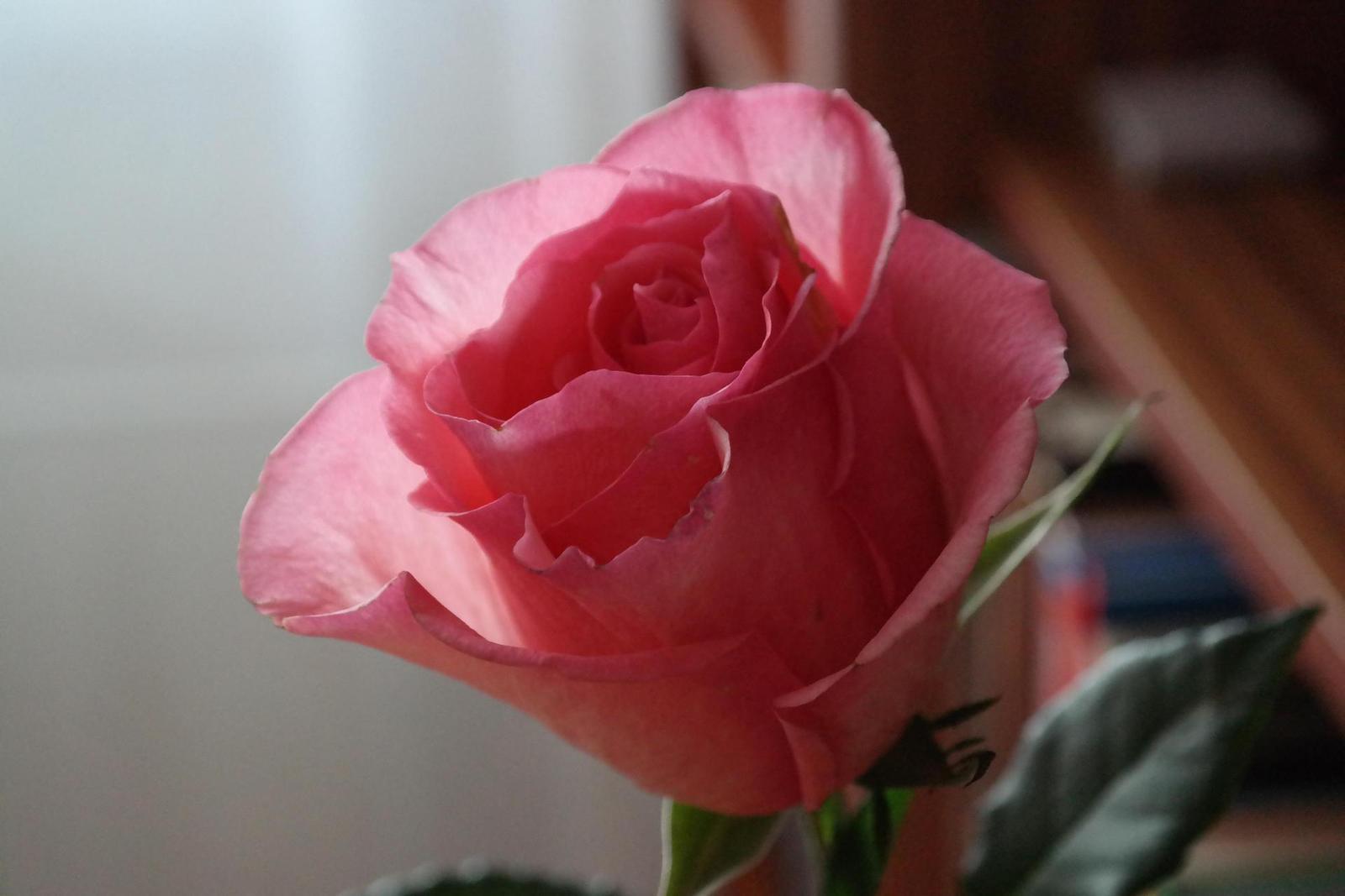 Samsung NX300: spousta kroků vpřed, jeden vzad