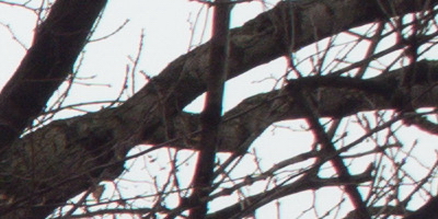 Samsung EX2F: významný krok vpřed