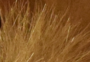 Nikon D5300: bezdrátový DSLR turista